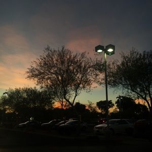 Meet your Posher, Ella